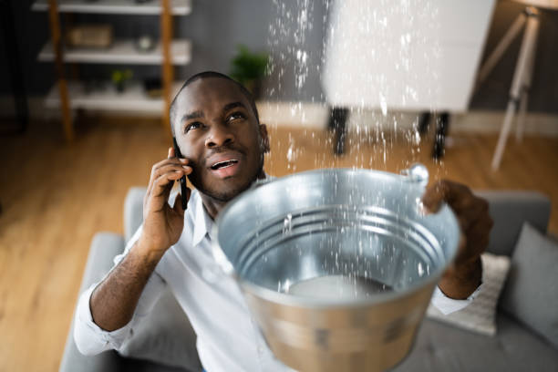 Best Basement water damage restoration  in Sunnyvale, CA