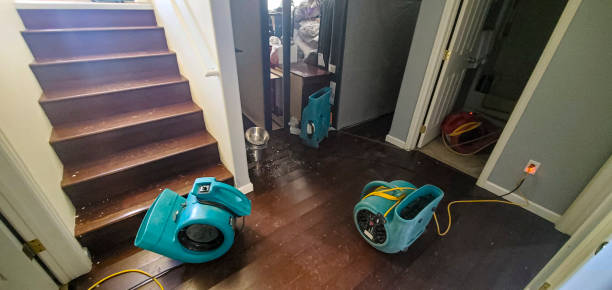 Best Flood restoration services  in Sunnyvale, CA