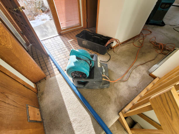 Best Flood damage cleanup  in Sunnyvale, CA