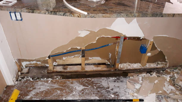 Best 24-hour water damage restoration  in Sunnyvale, CA