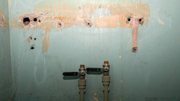 Best Residential water damage restoration  in Sunnyvale, CA